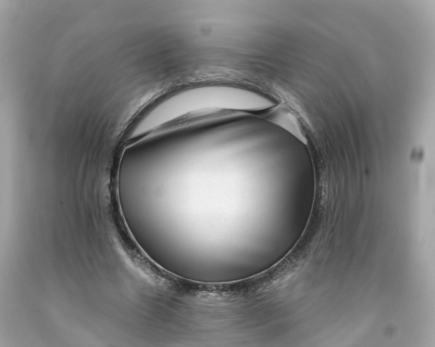 X0000091480538200709061841