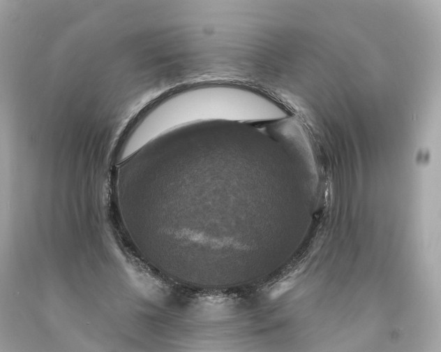 X0000091480540200709061842