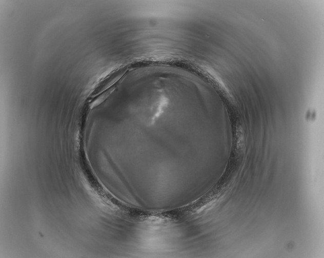 X0000091480542200709061842