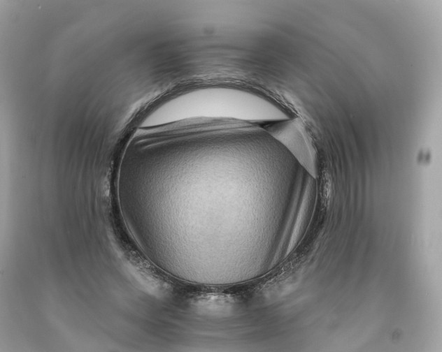 X0000091480543200709061842