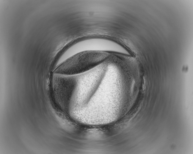 X0000091480544200709061842