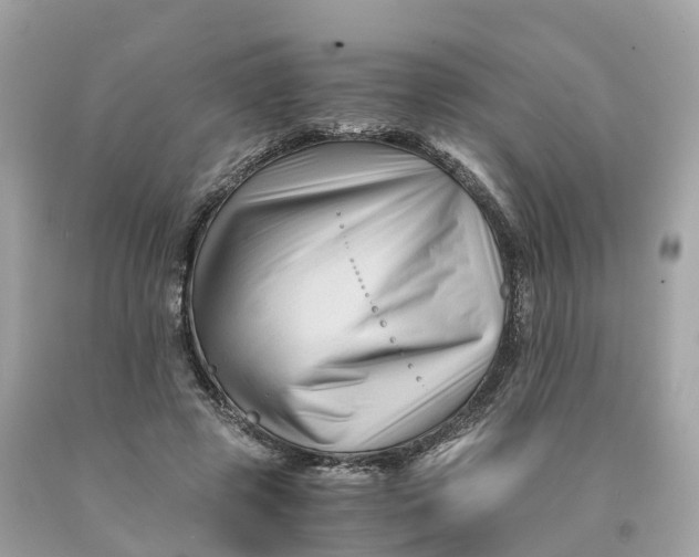 X0000091480545200709061842