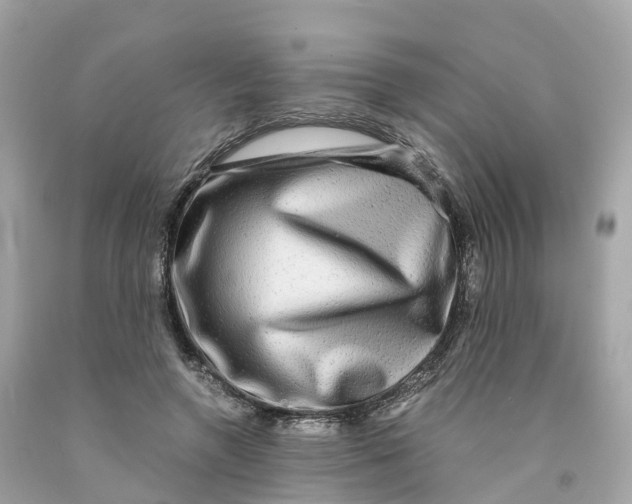 X0000091480546200709061842