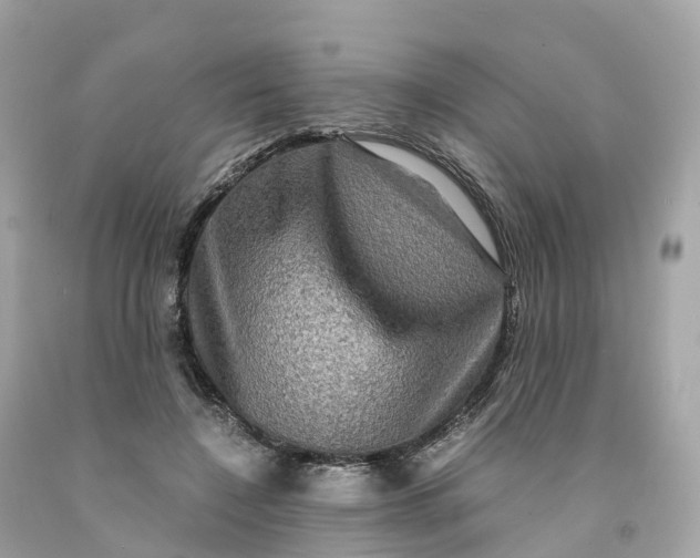 X0000091480548200709061842