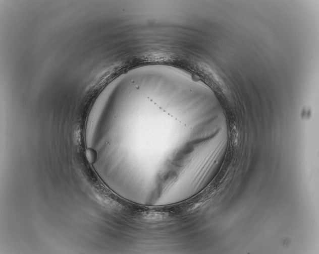 X0000091480549200709061842