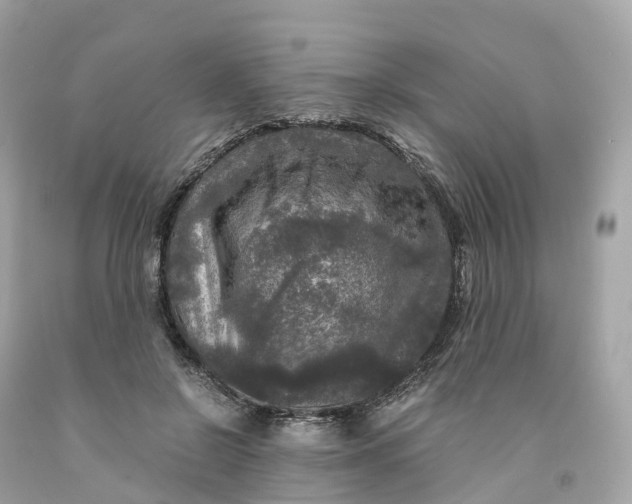 X0000091480550200709061842