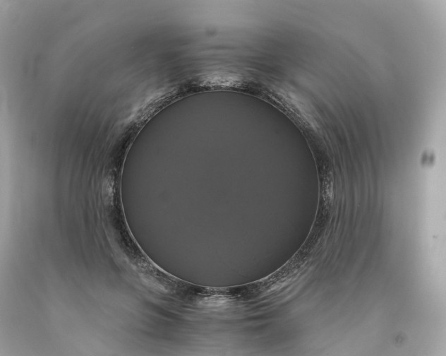 X0000091480551200709061842