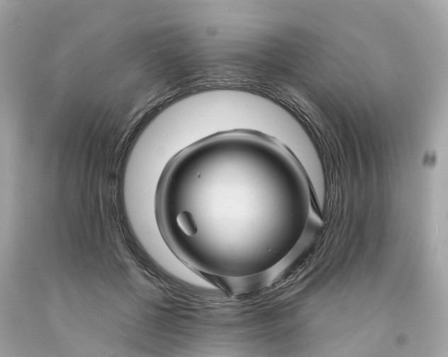 X0000091480552200709061842