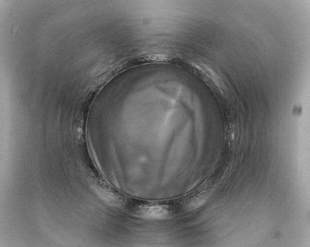 X0000091480553200709061842