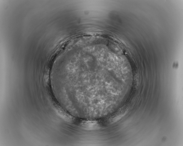 X0000091480554200709061842