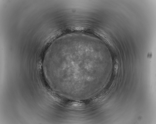 X0000091480555200709061842