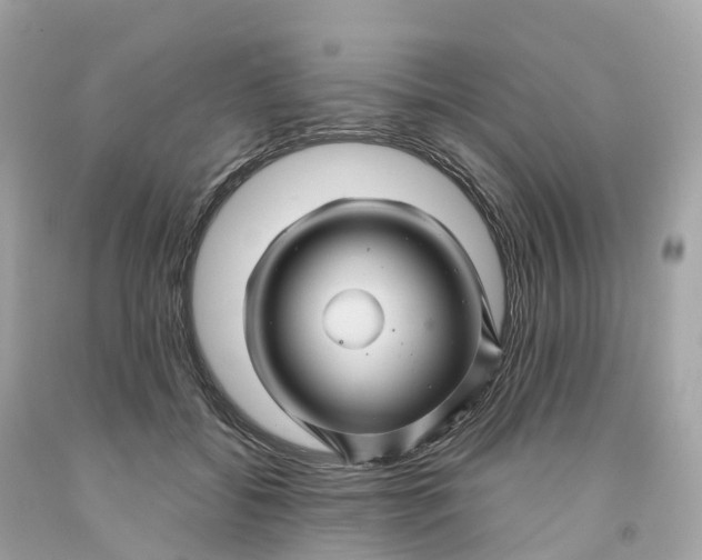 X0000091480556200709061842