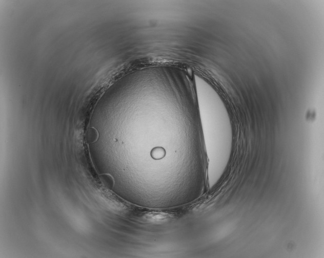 X0000091480557200709061842