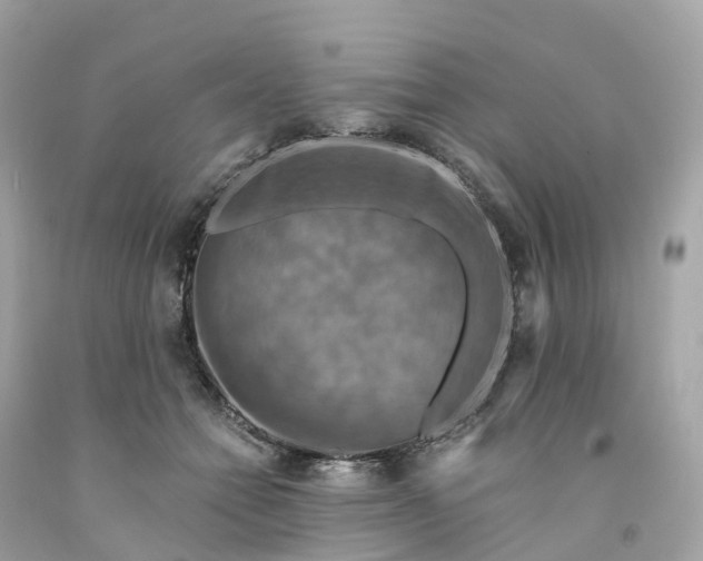 X0000091480558200709061842