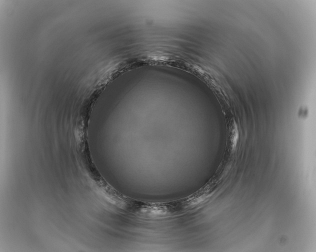 X0000091480559200709061842