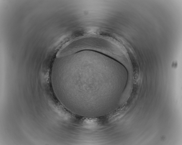 X0000091480560200709061842