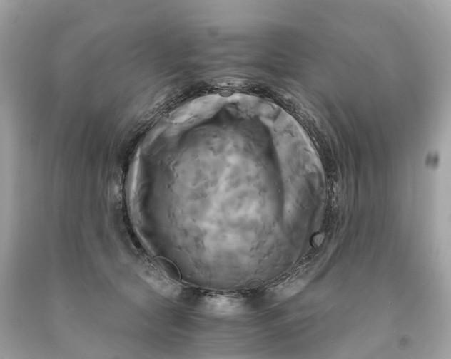 X0000091480561200709061842