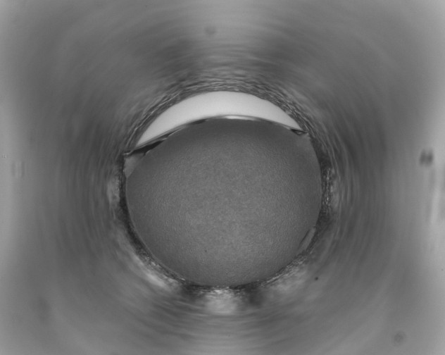 X0000091480562200709061842