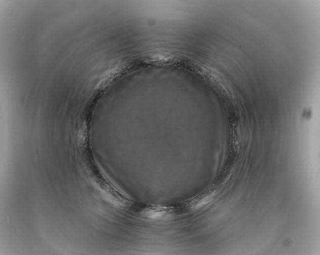 X0000091480563200709061842