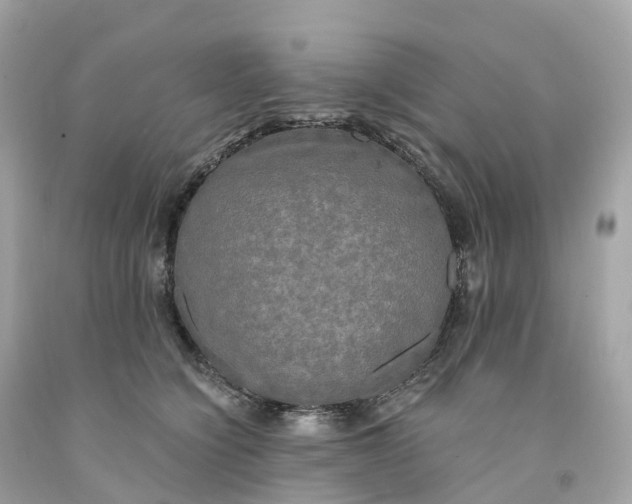 X0000091480564200709061842