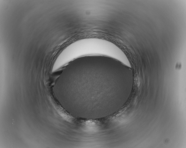 X0000091480566200709061842