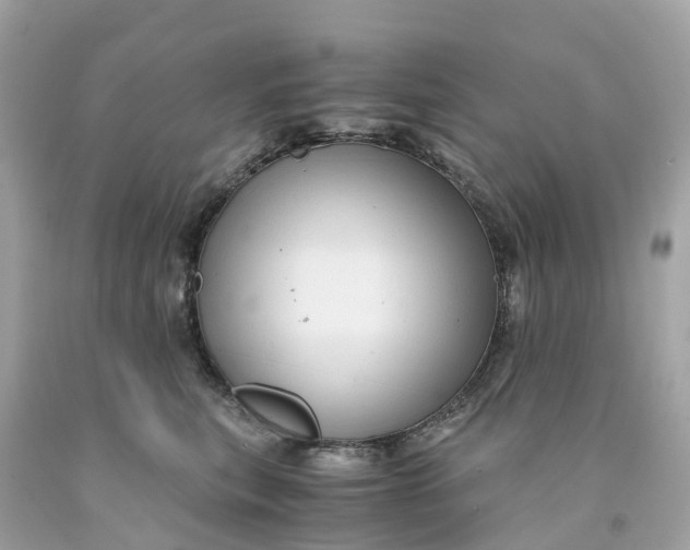 X0000091480567200709061842