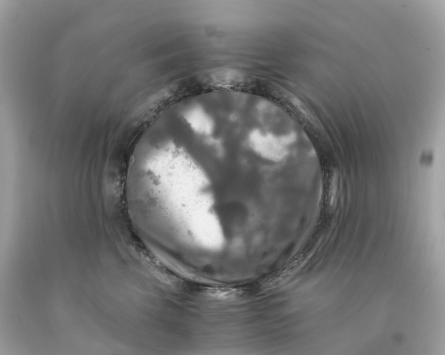 X0000091480569200709061842