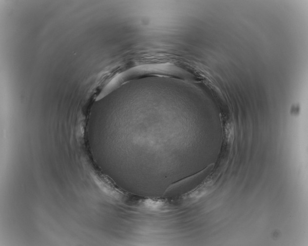 X0000091480570200709061842