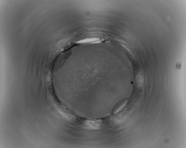 X0000091480571200709061842