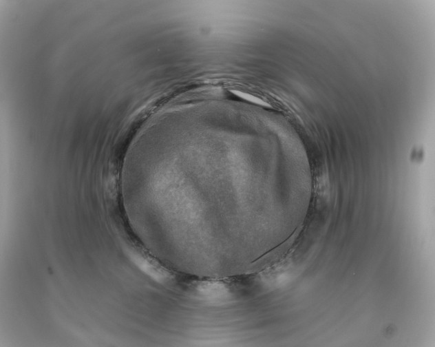 X0000091480572200709061842