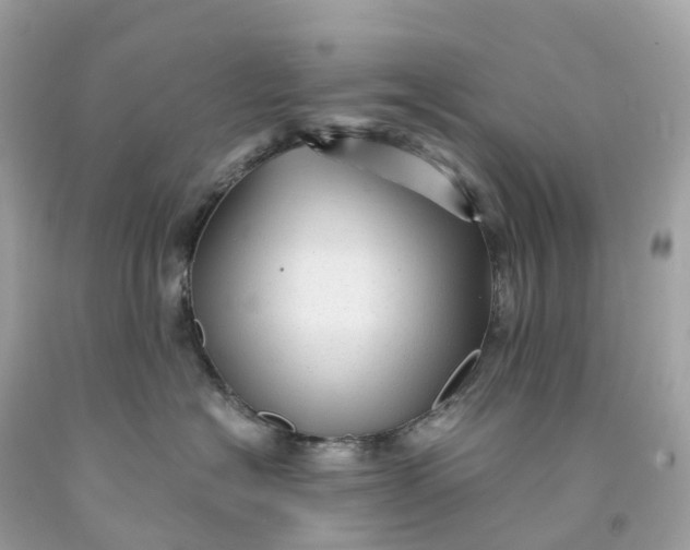 X0000091480574200709061842