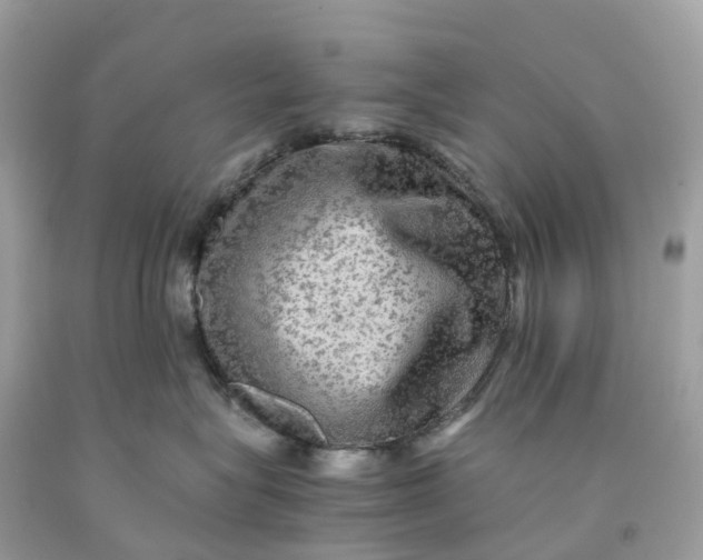 X0000091480575200709061842