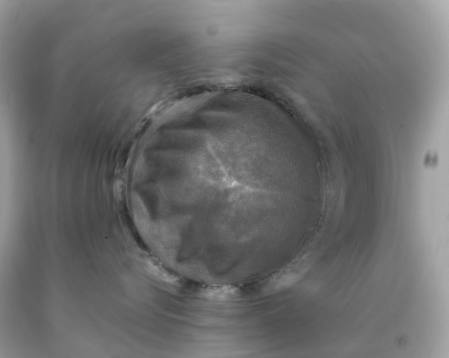 X0000091480576200709061842