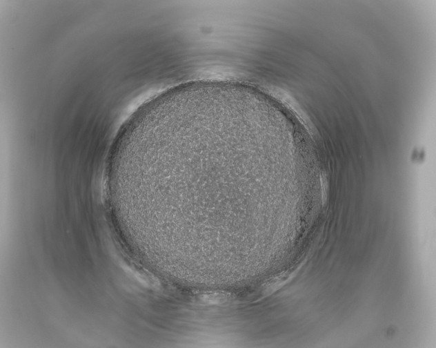 X0000091480579200709061841