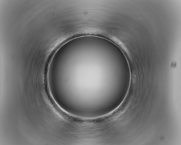 X0000091480581200709061841