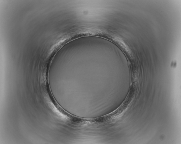 X0000091480585200709061841