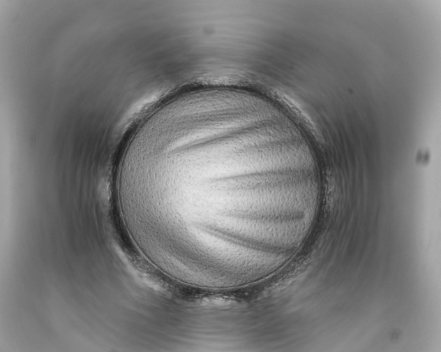 X0000091480586200709061841