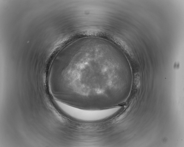 X0000091480589200709061841