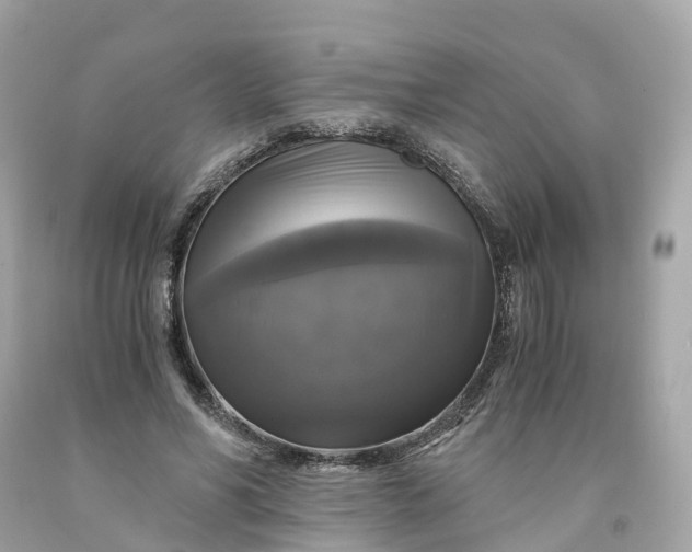 X0000091480590200709061841