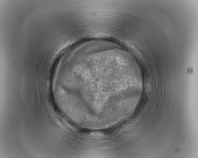 X0000091480591200709061841