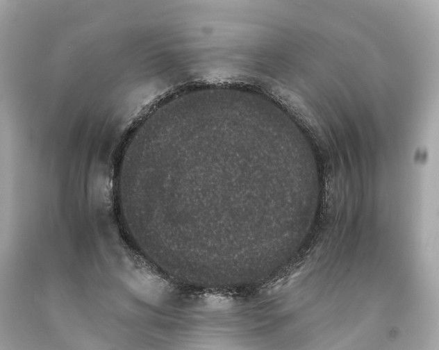 X0000091480592200709061841