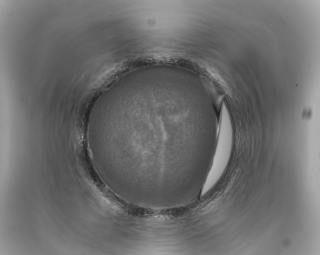 X0000091480593200709061841