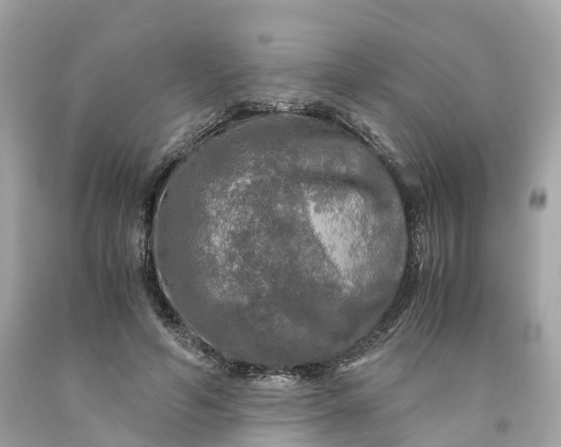 X0000091480594200709061841