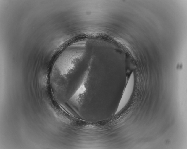 X0000091480596200709061841