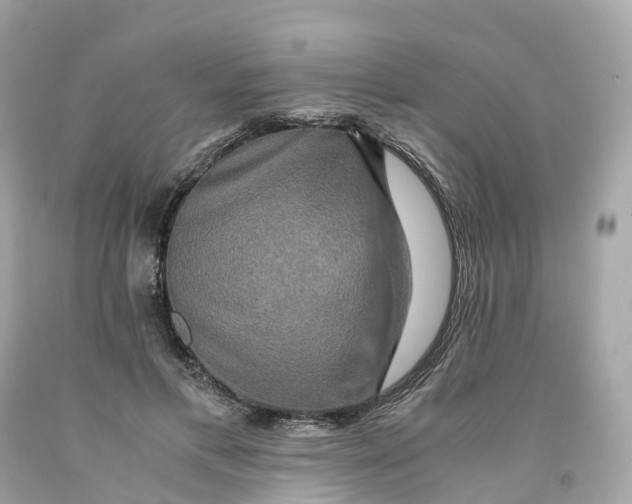 X0000091480597200709061841