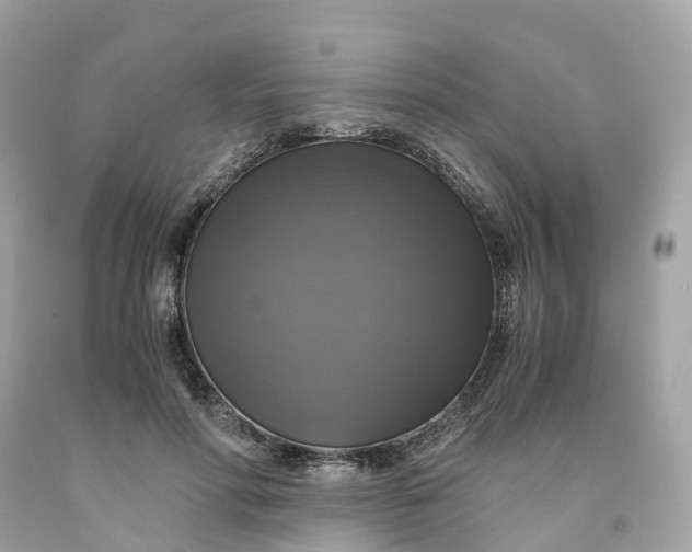 X0000091480598200709061841