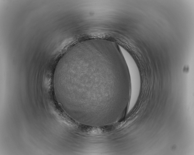 X0000091480600200709061841