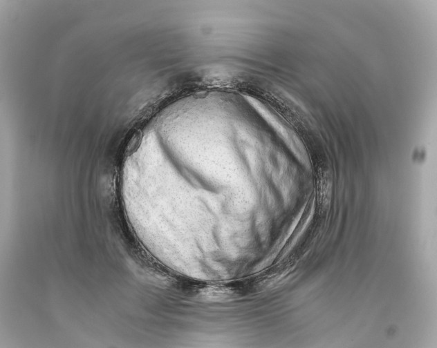 X0000091480603200709061841