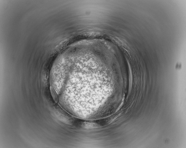 X0000091480605200709061841