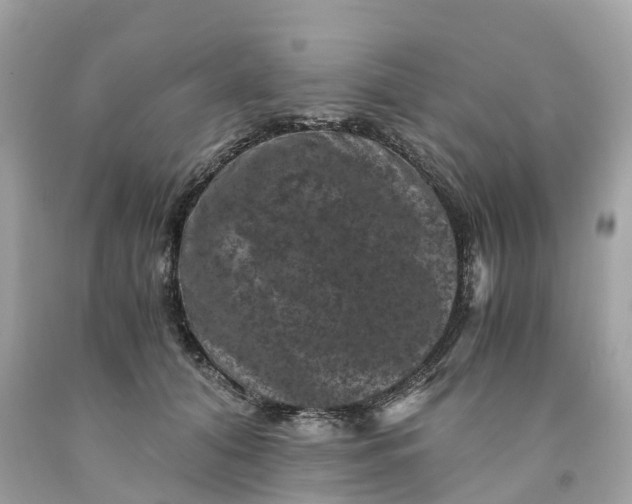 X0000091480608200709061841